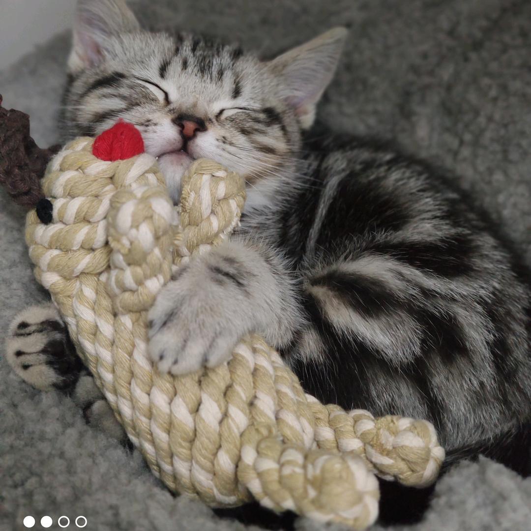 李师傅忙碌了一天