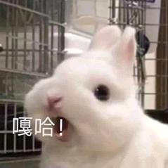 王不挂w