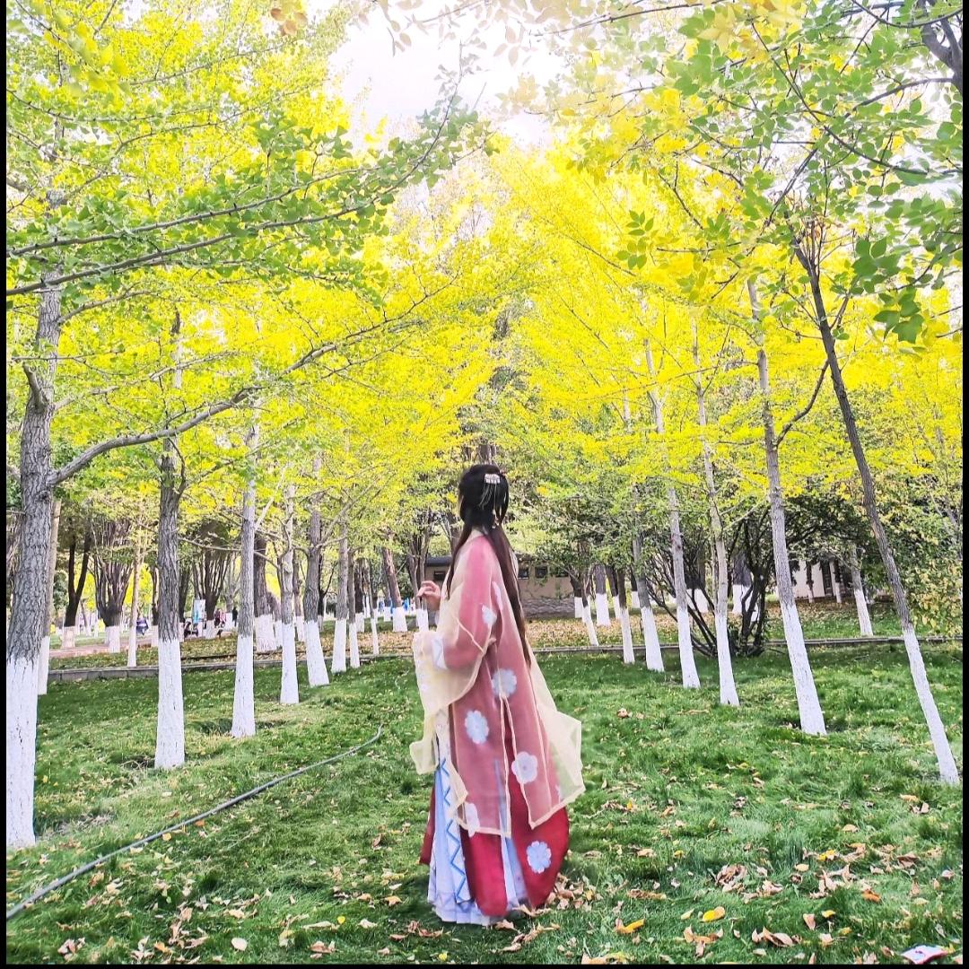 忆梦徊 Ƶ.( Ꮤ.)