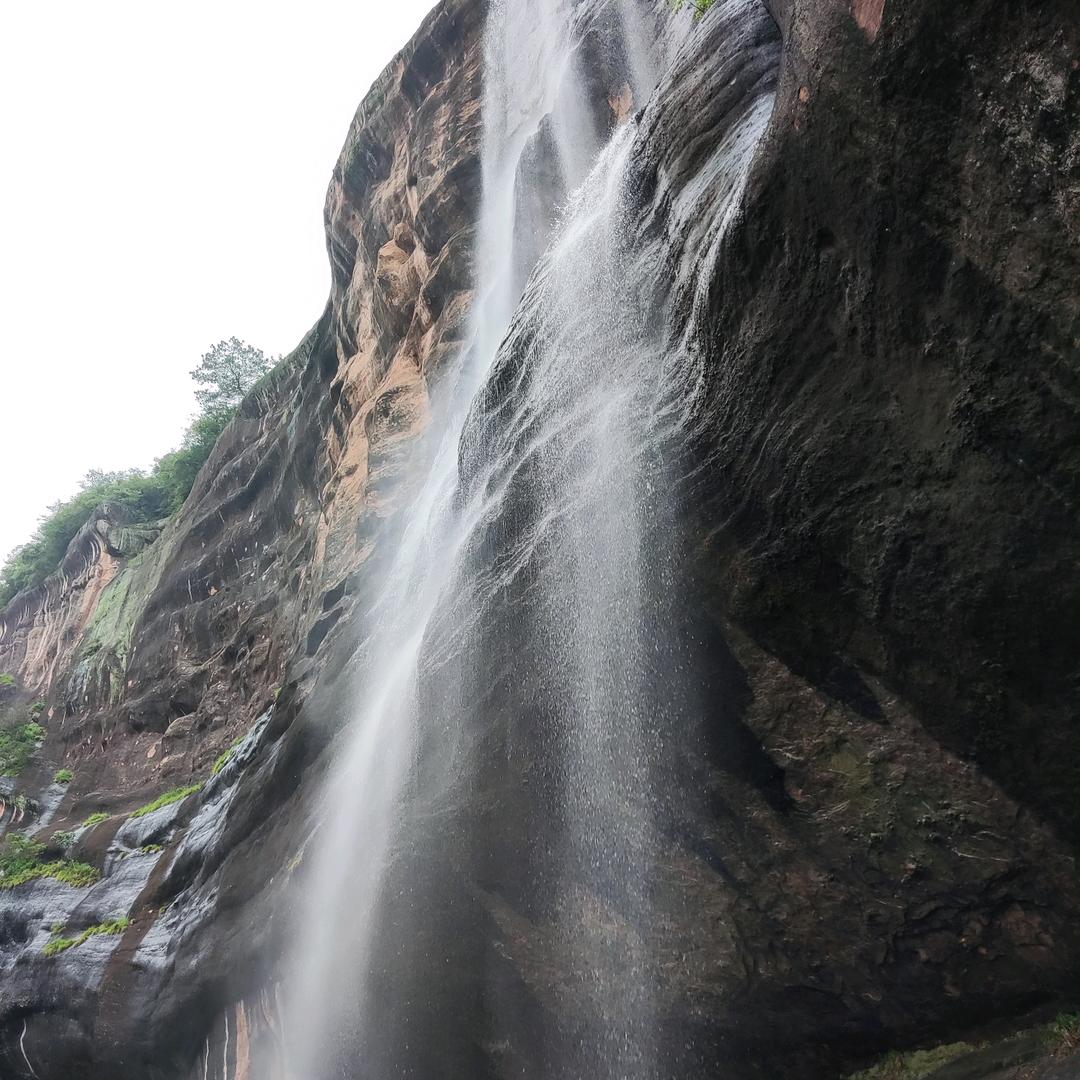 小小珍