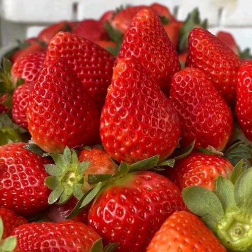 🌈এ᭄ꦿ꯭ꫛ@开心快乐꧔ꦿএ᭄💕