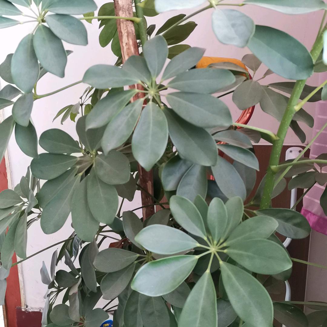 嗯嗯好的宝贝