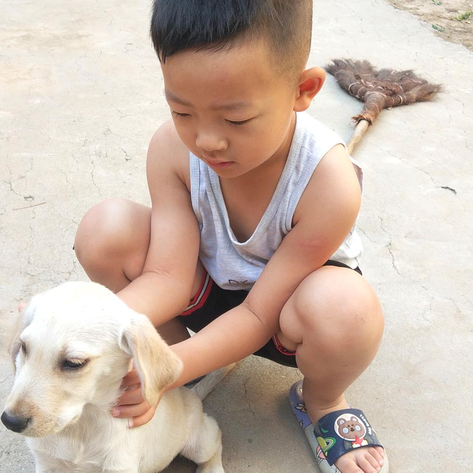 .笑看红尘漫歩人生