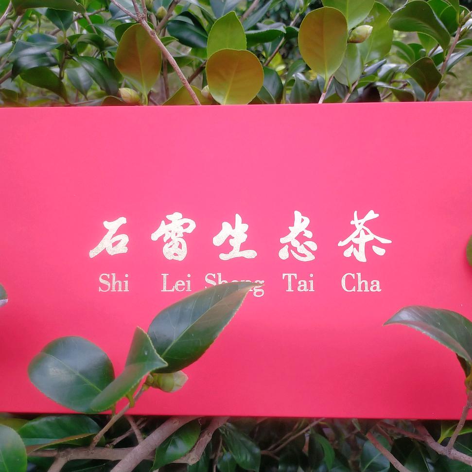 🍃🍀苦尽甘来🍃🍀