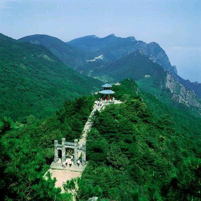 向革新