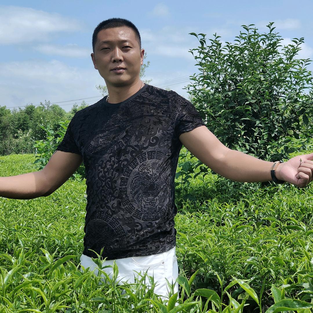 果飞热带果树批发