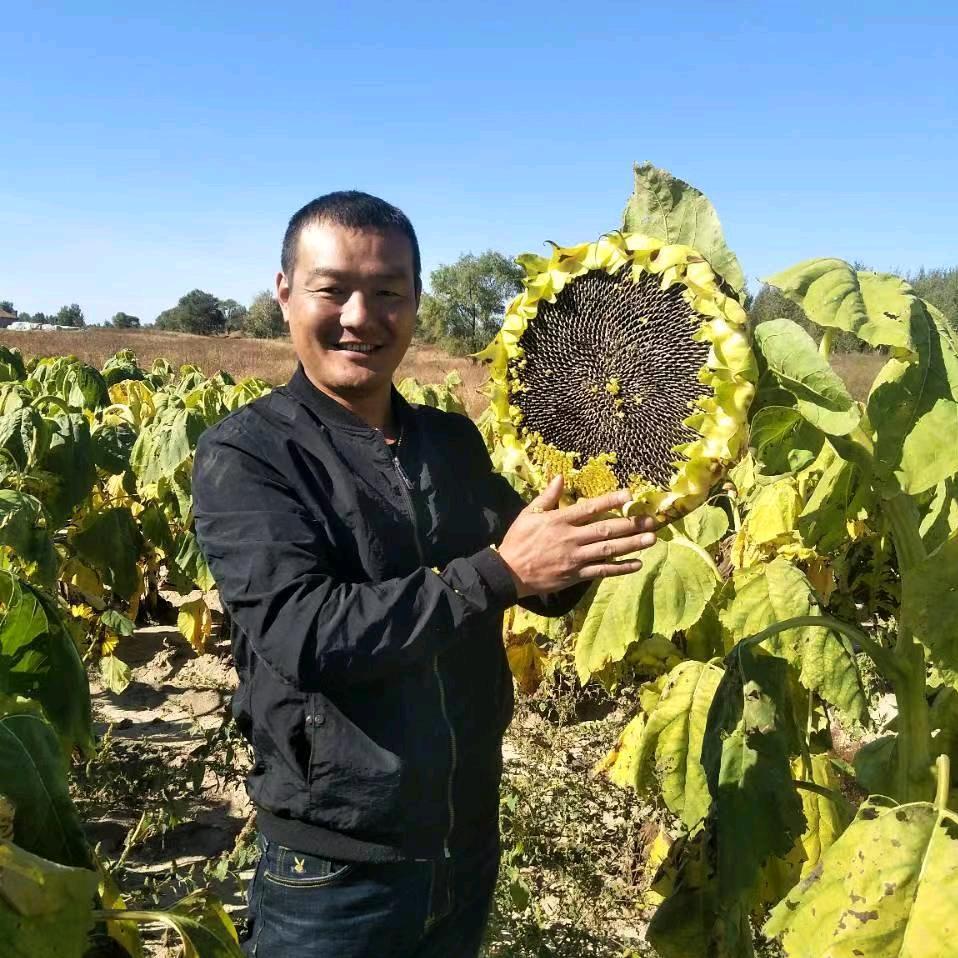 内蒙瓜子批发店