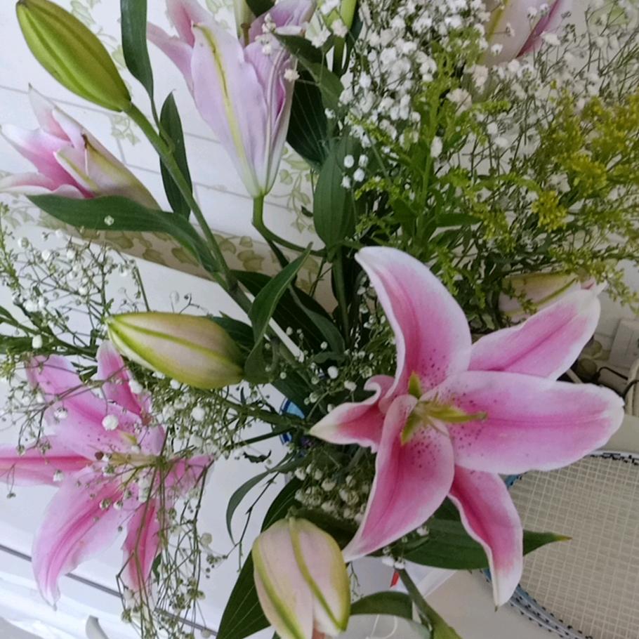 暖夕