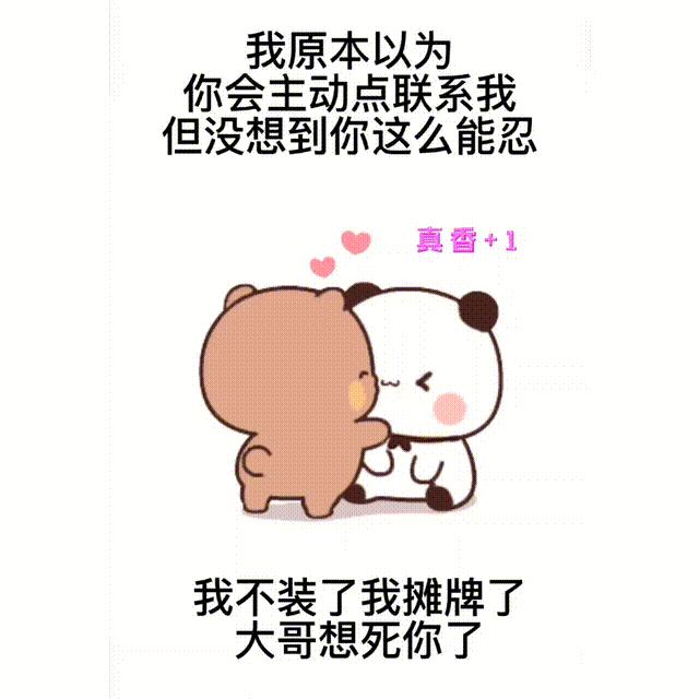 被鼠欺负的猫