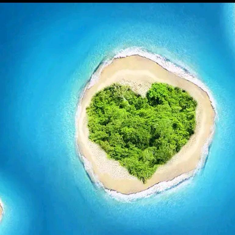 🦋ꦿ໊掌上᭄🕊明珠