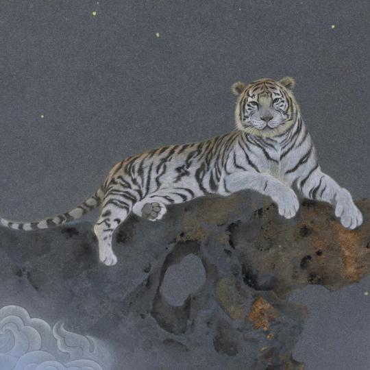 手机用户81189479005