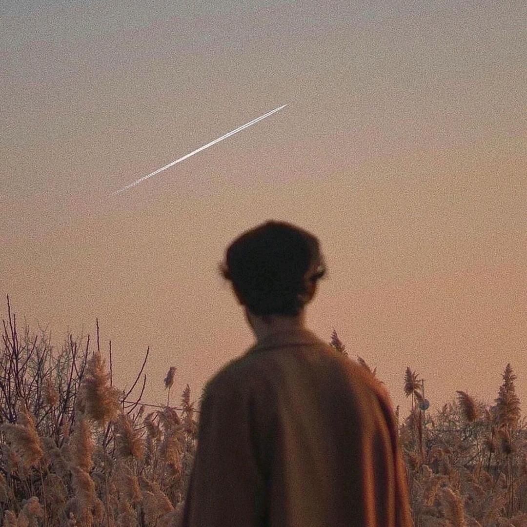 灰灰📷