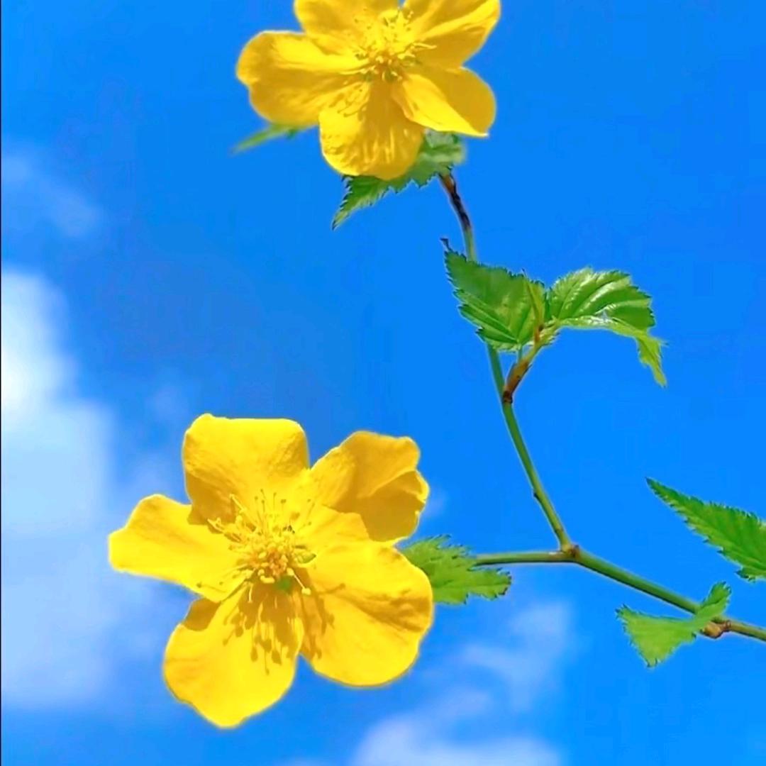 风的季节22