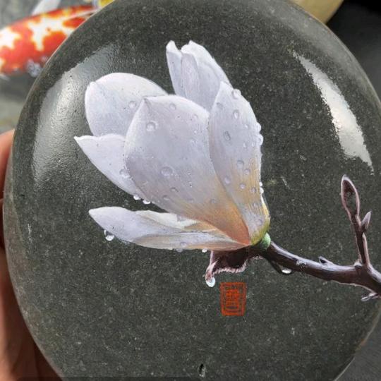 刘梓涵
