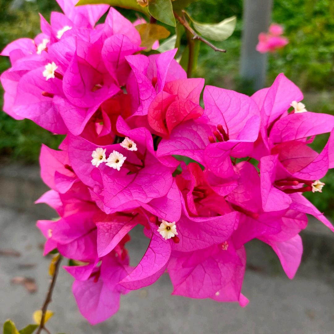 与世无争