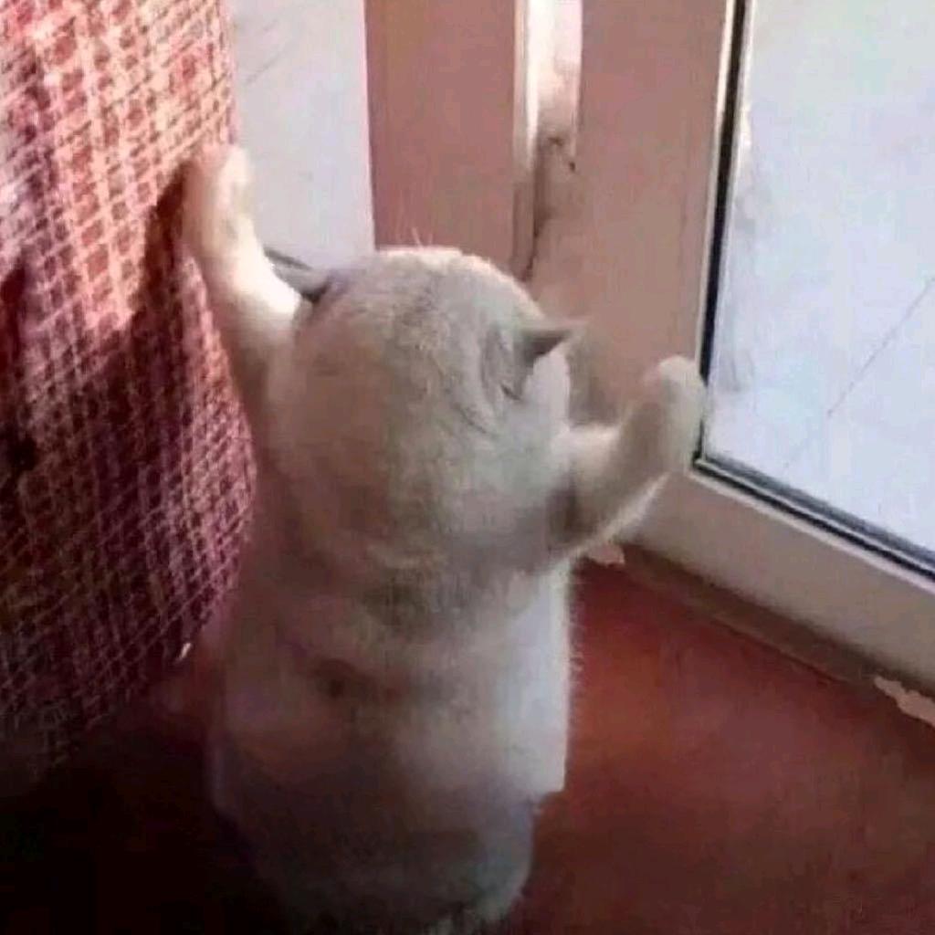 脆脆沙