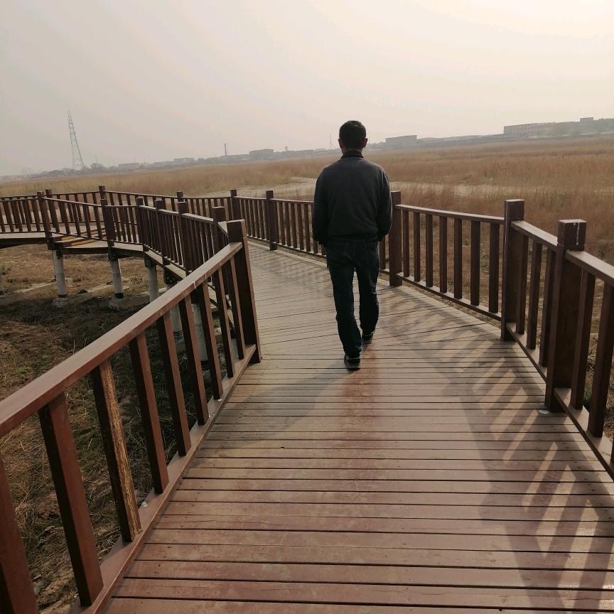 水产批发野生鱼