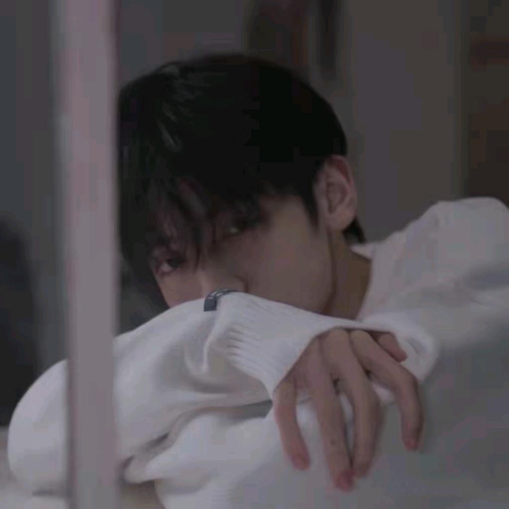 树滨