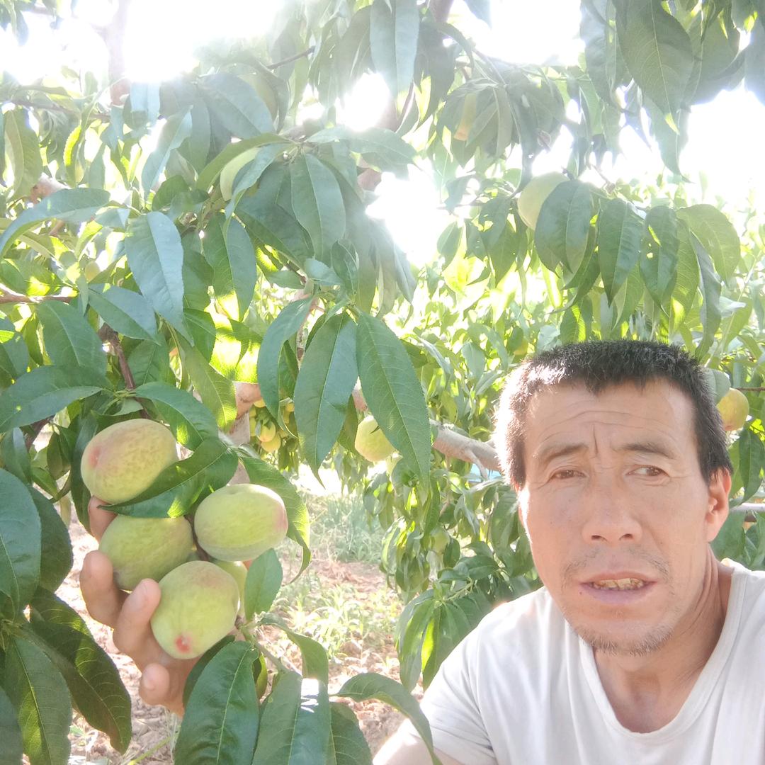 梦想成真单身3418229265461