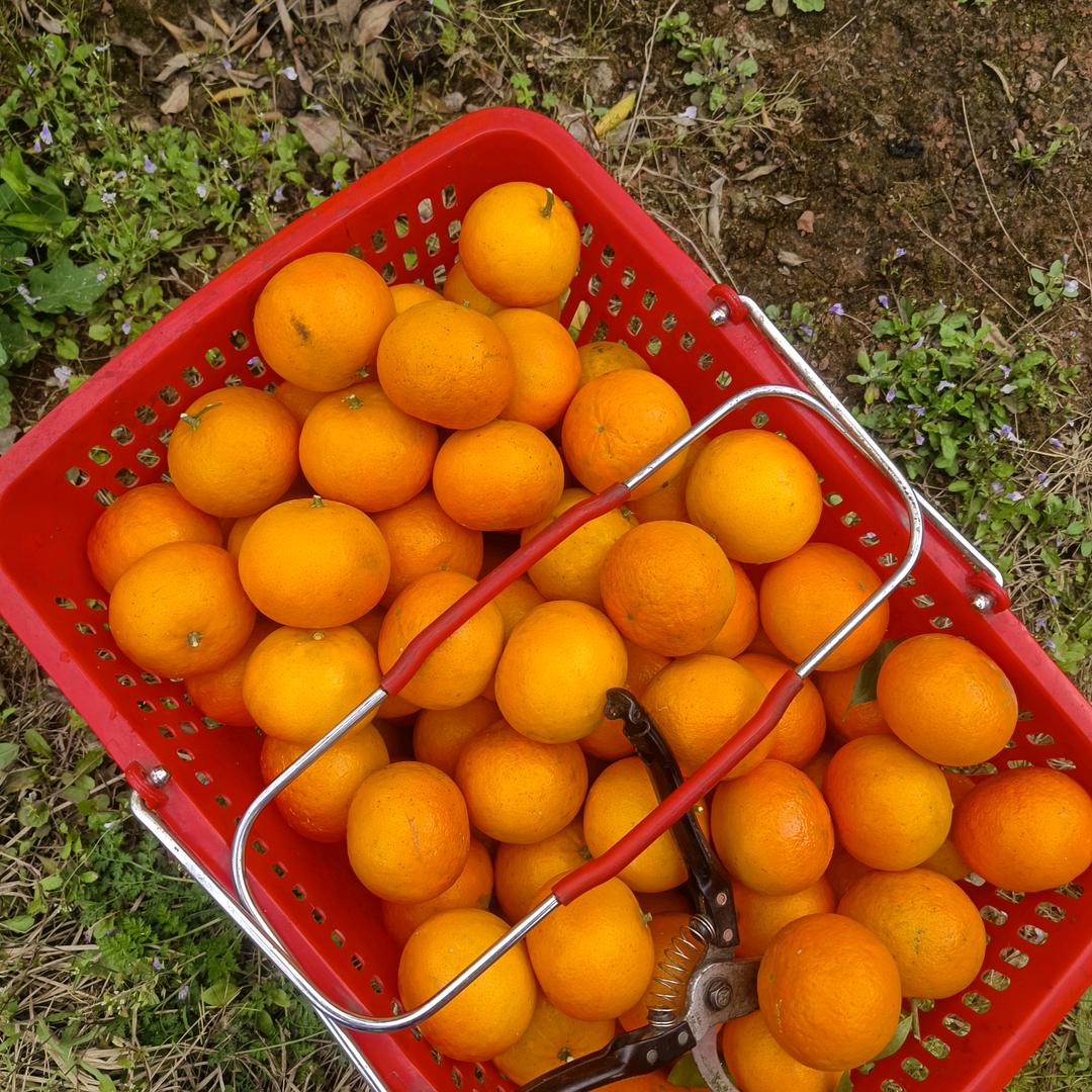 💕💕💕💕💕💕💕💕💕💕