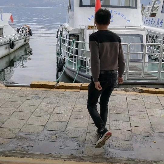 黄肉木薯一条龙服务21，