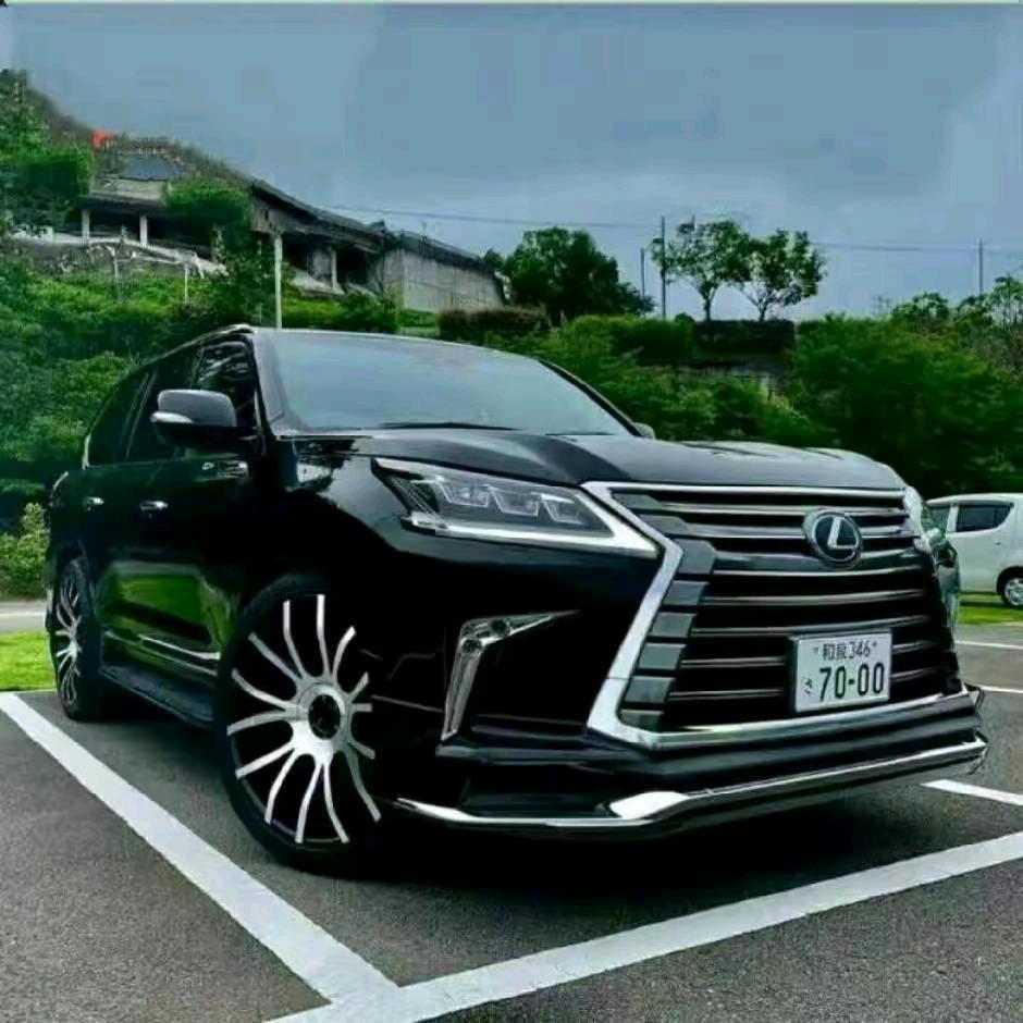 🌹梦想🌹