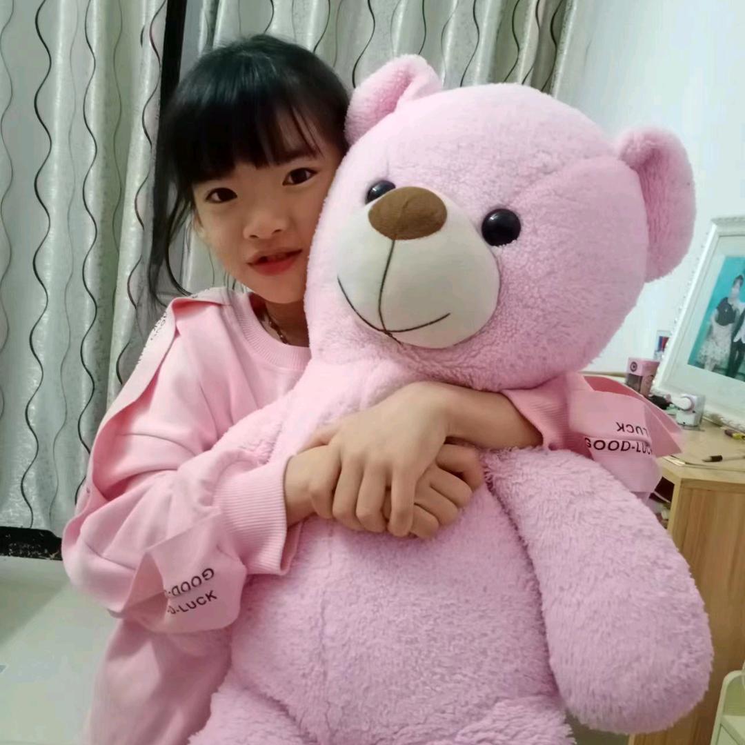 灰灰宝