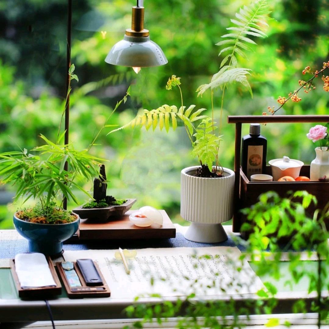 致虚极，守静笃