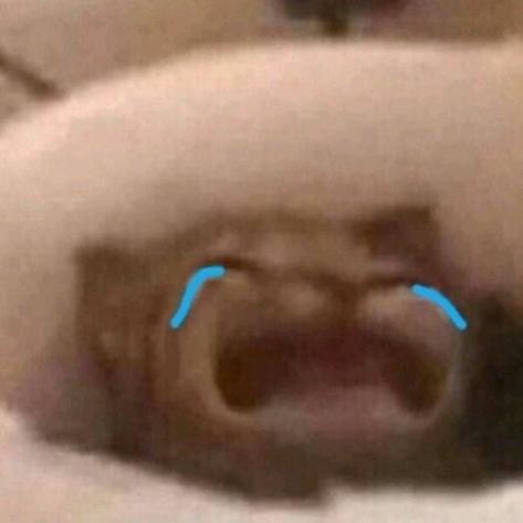 干爪子