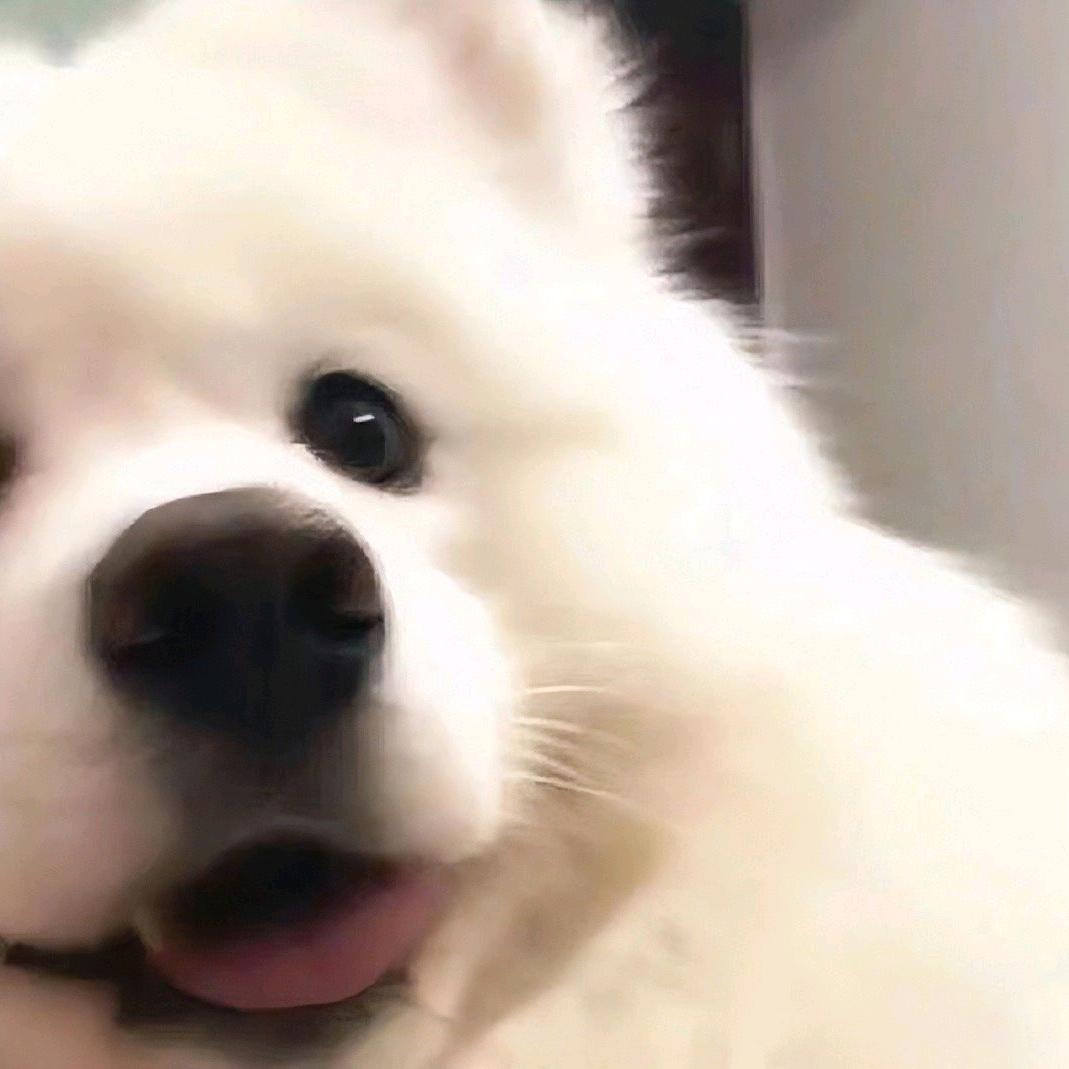梨