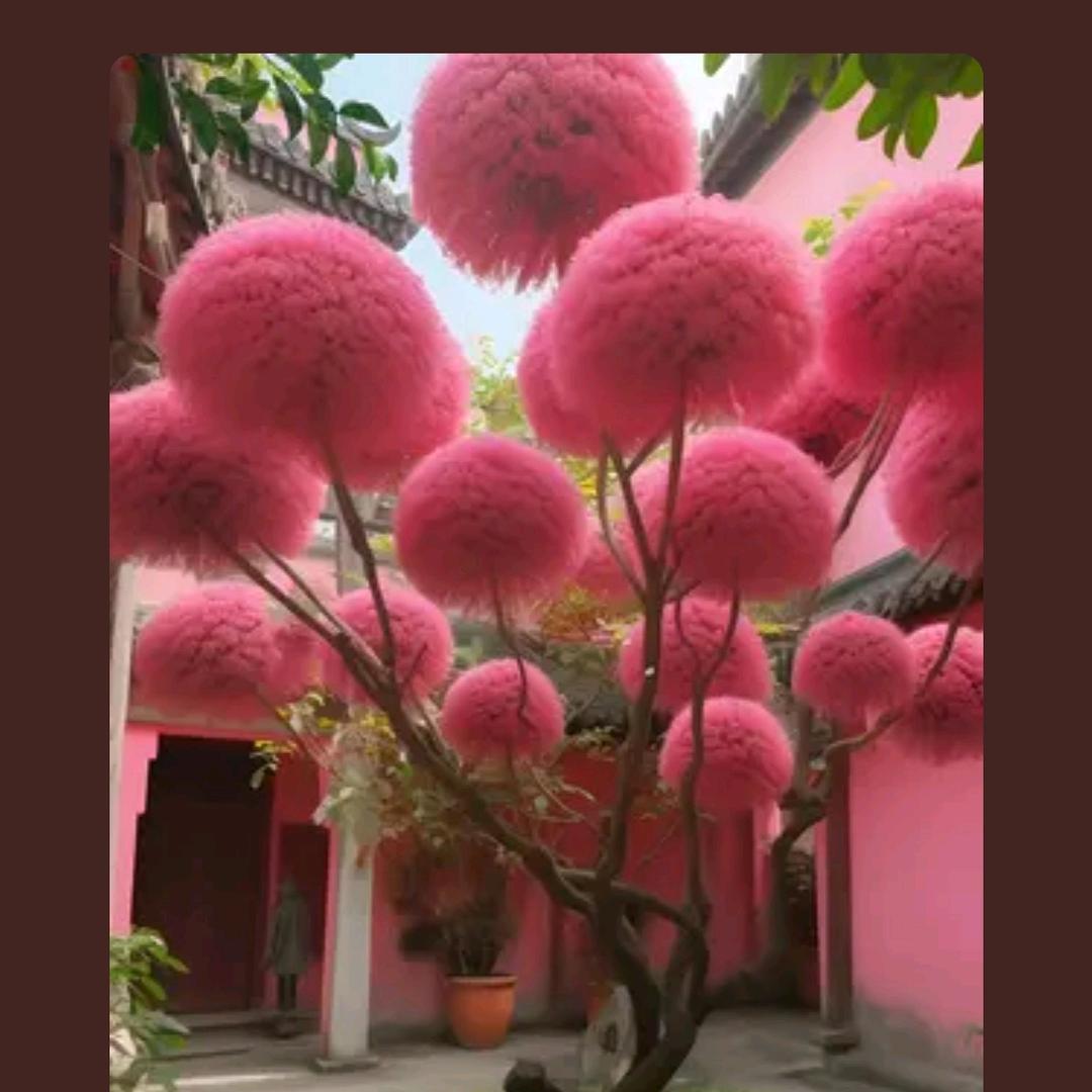 小丸子姐姐