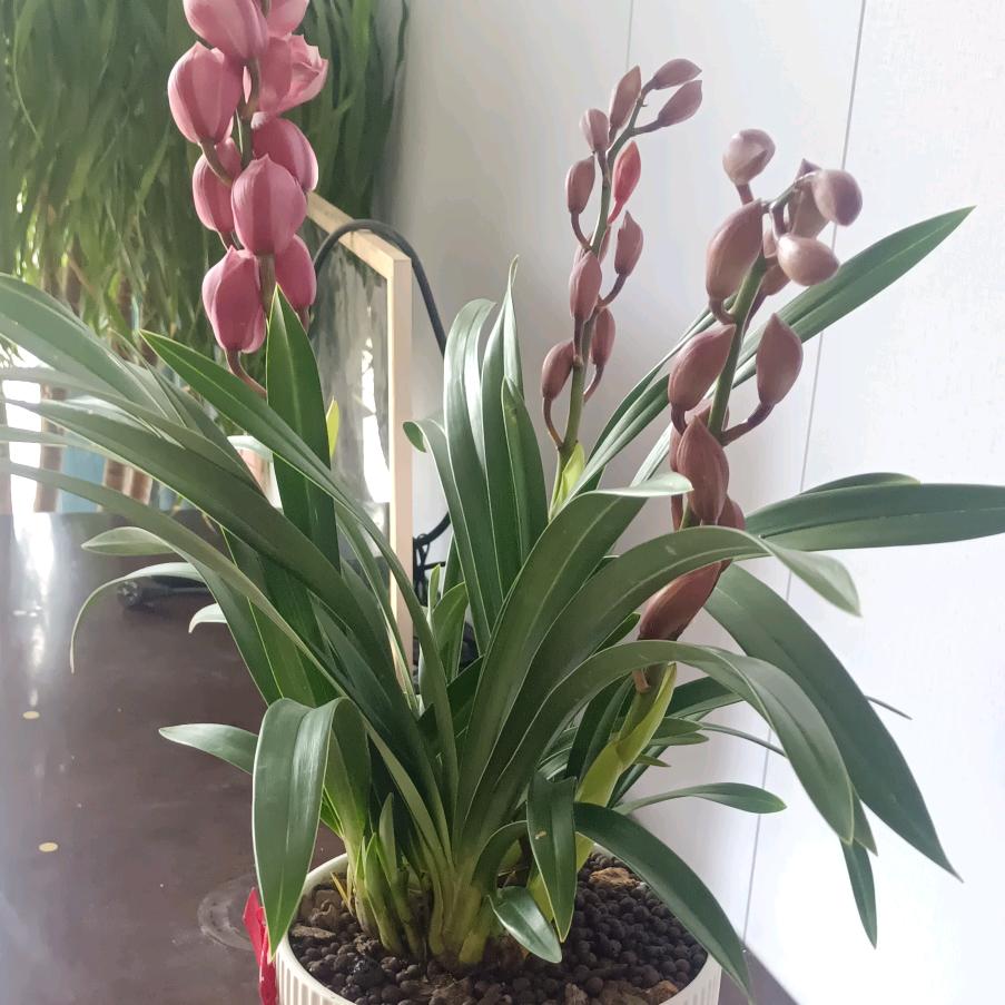 信阳市平桥区叶家餐饮店