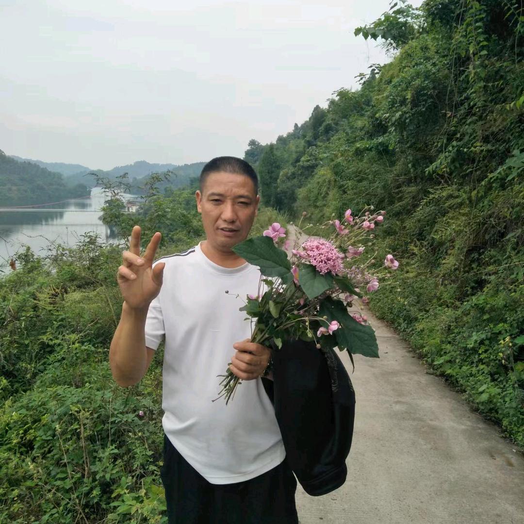 时来🌟运转🌟WLM