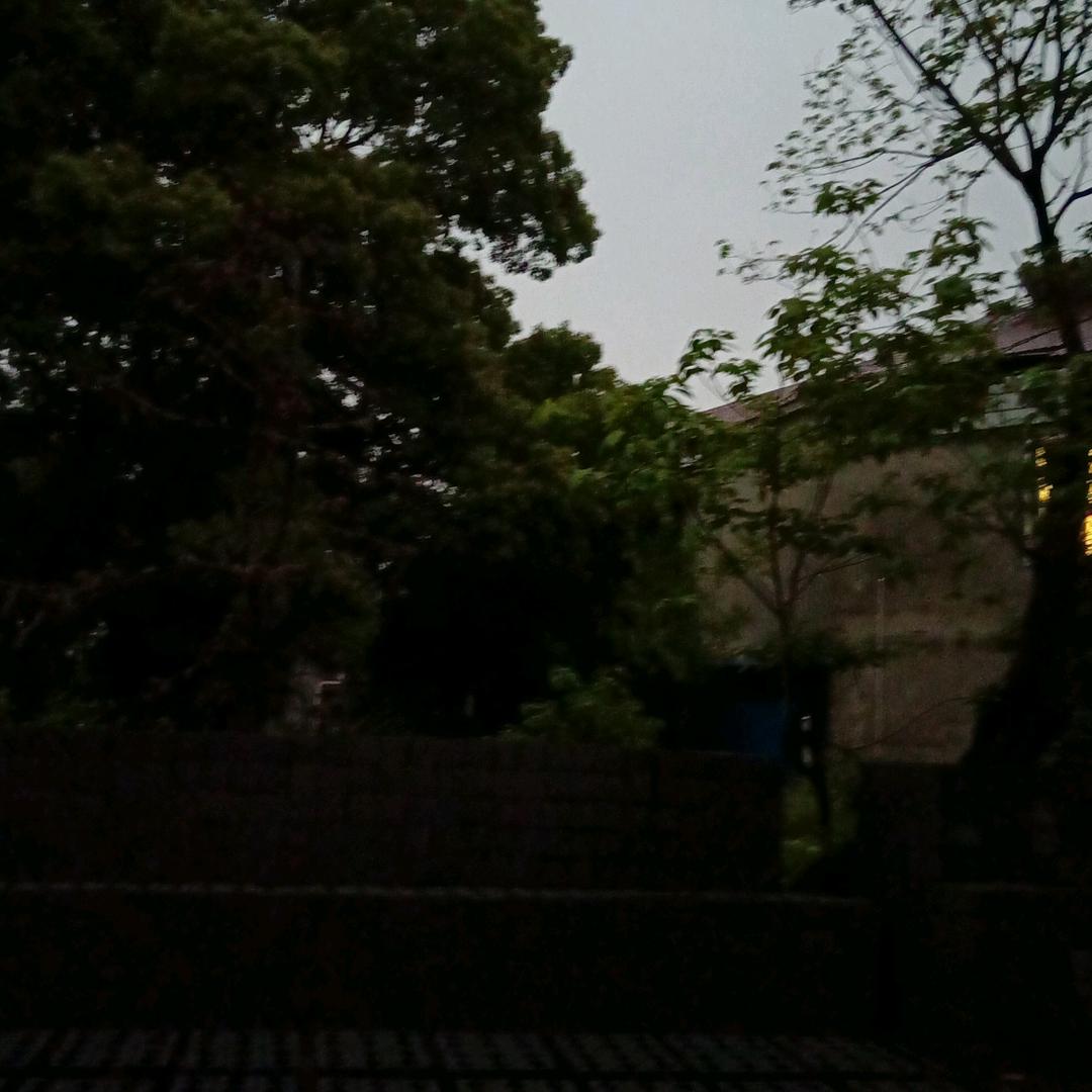 笑到最好的太阳