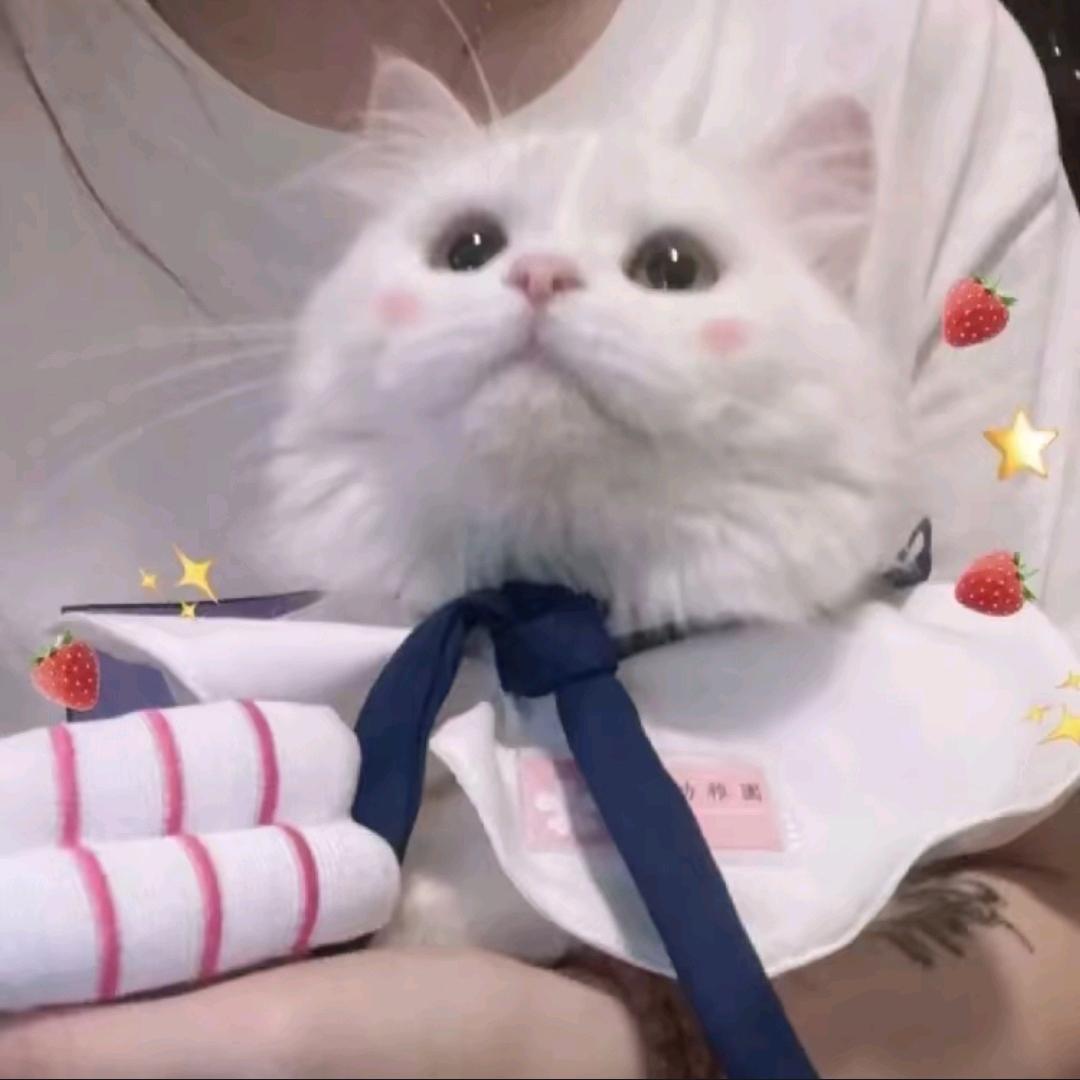 尕郭同学