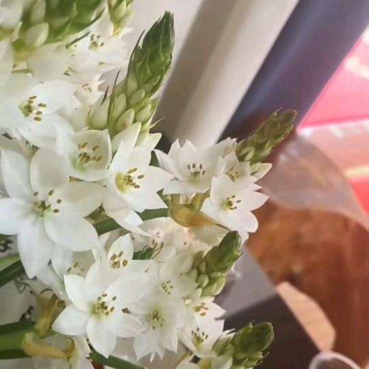 被风吹过的夏天✪ω✪