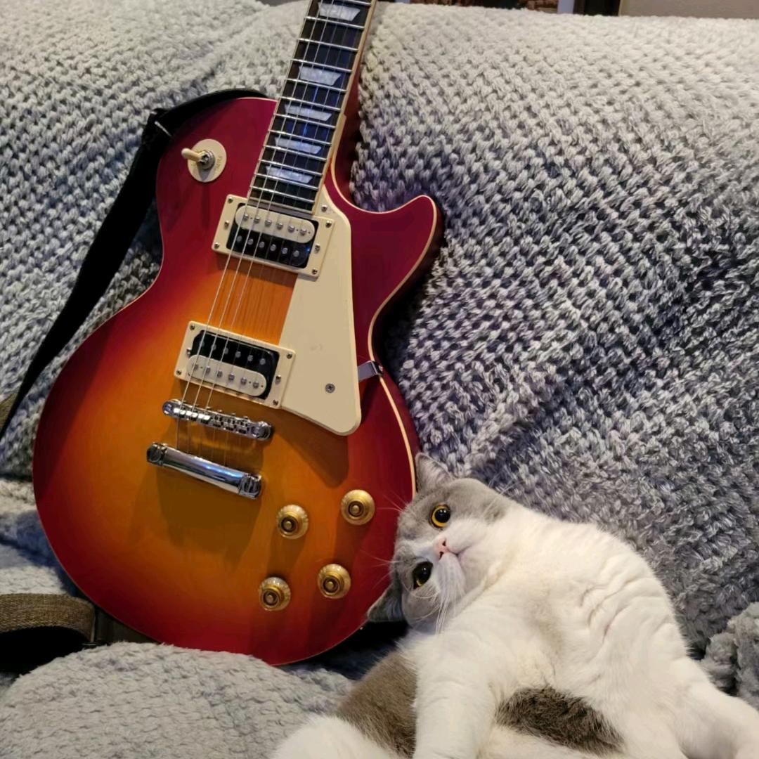 Thierry 🎸🍷铁黑