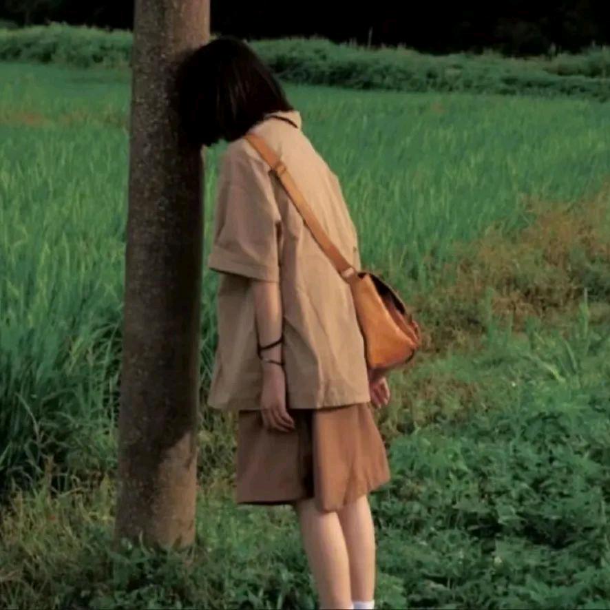 洋芋地里挖土豆