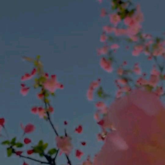 崇℘࿐