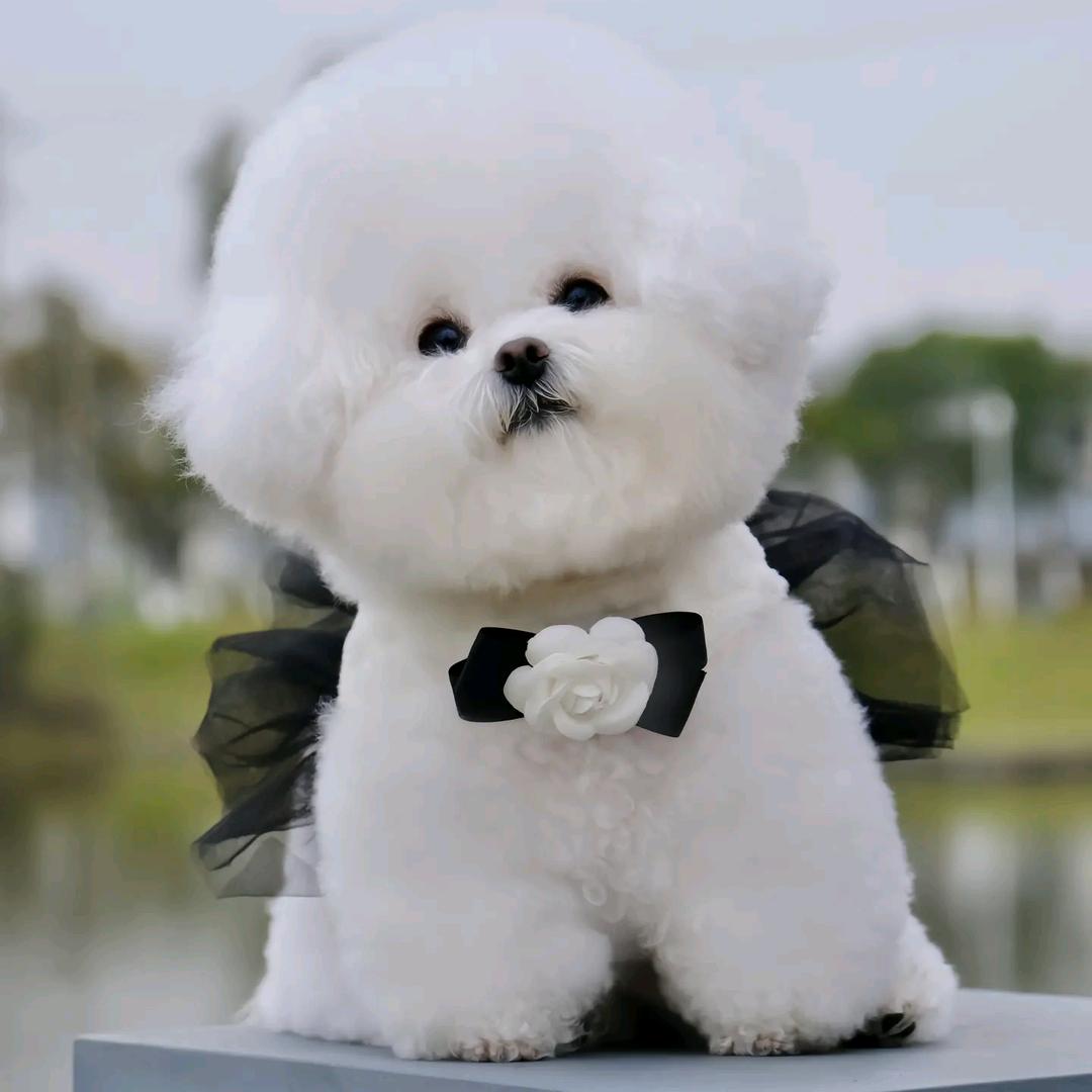 不忘初心( ͡°❥ ͡°)