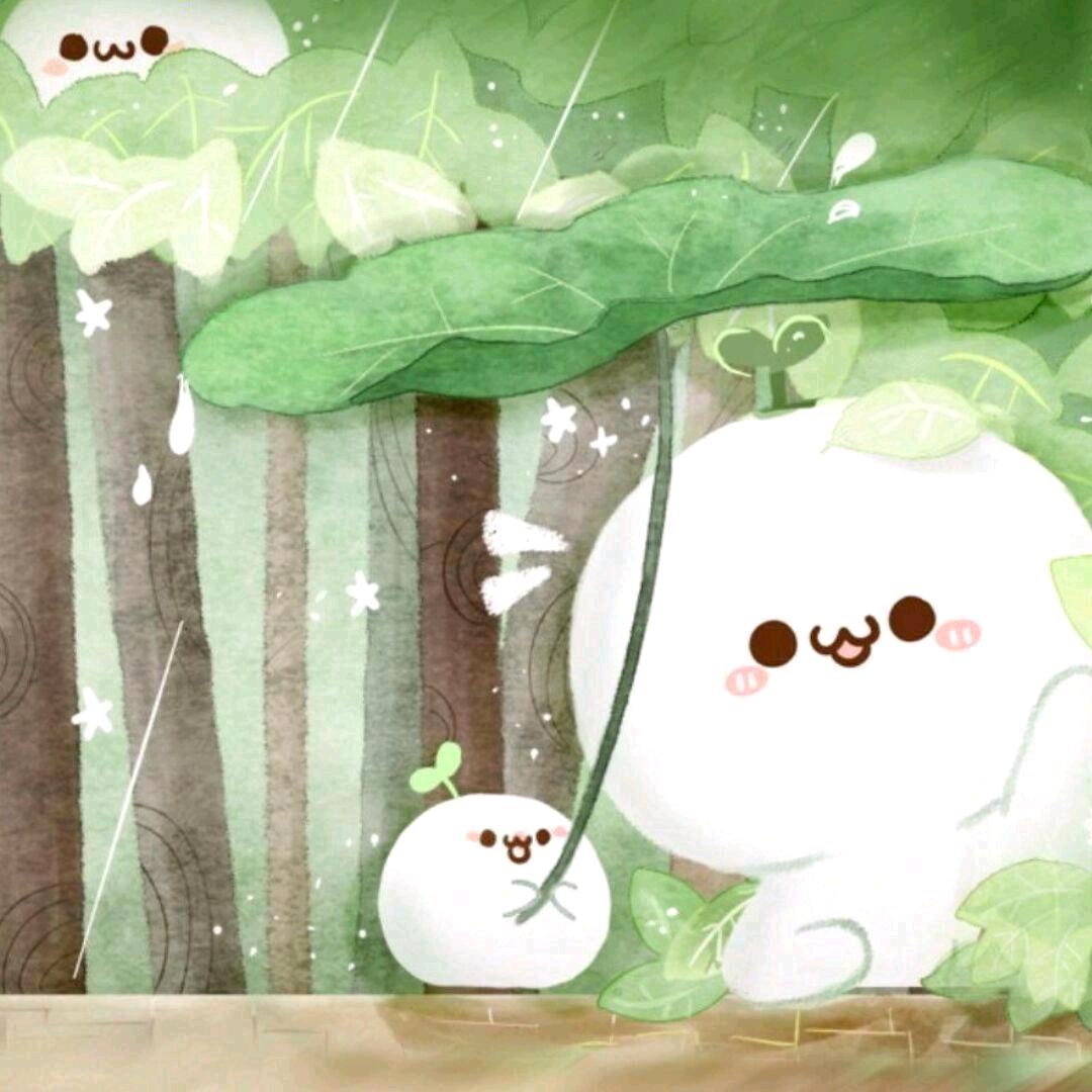 贝壳