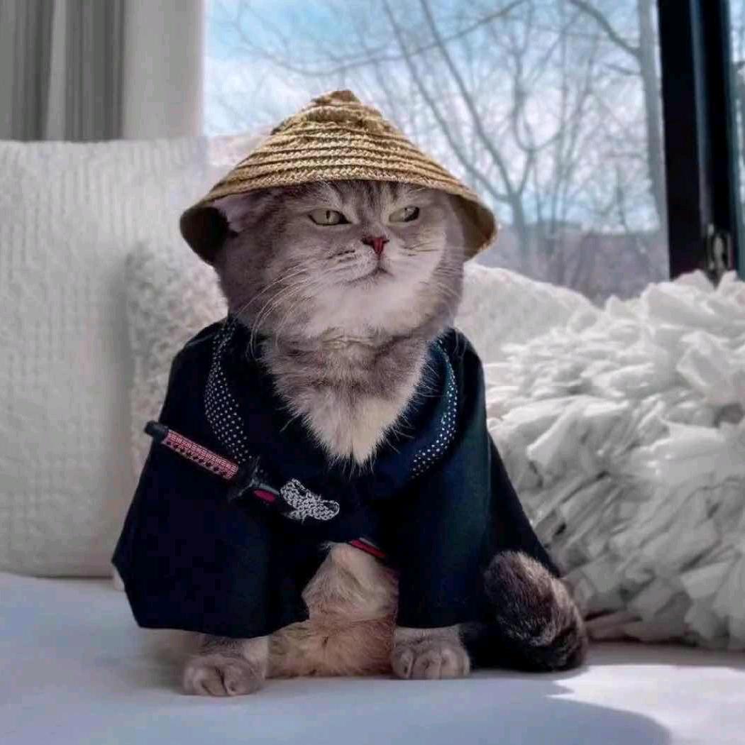 小🐟同学