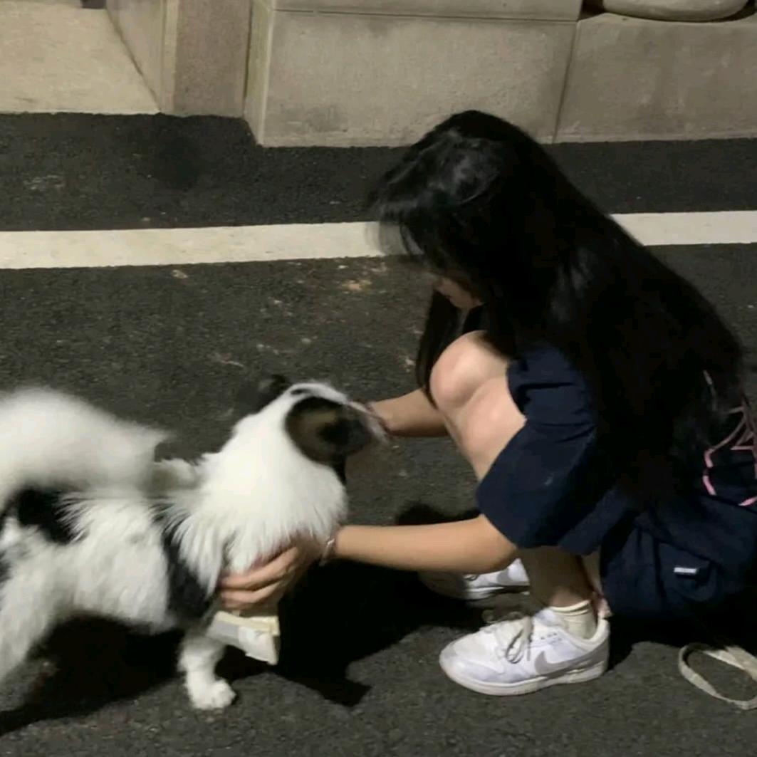 芋圆葡萄🍇