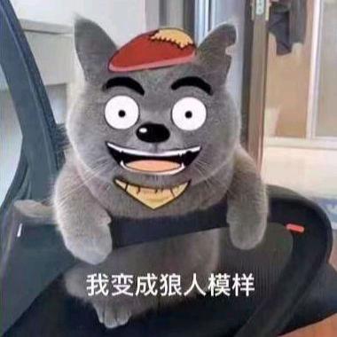 七七不是八八