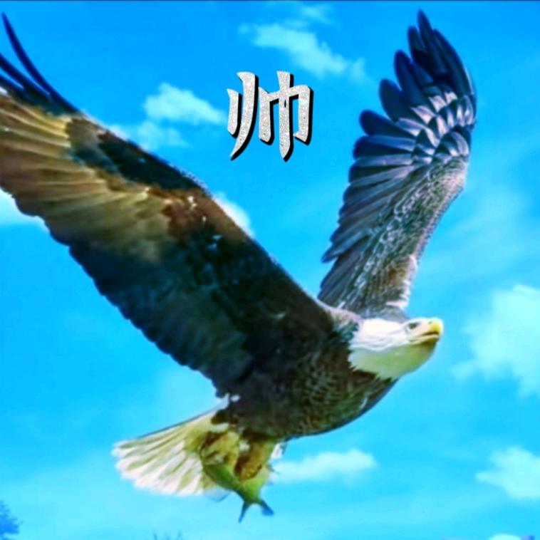 ✨風～帥🍃🌴✨✨