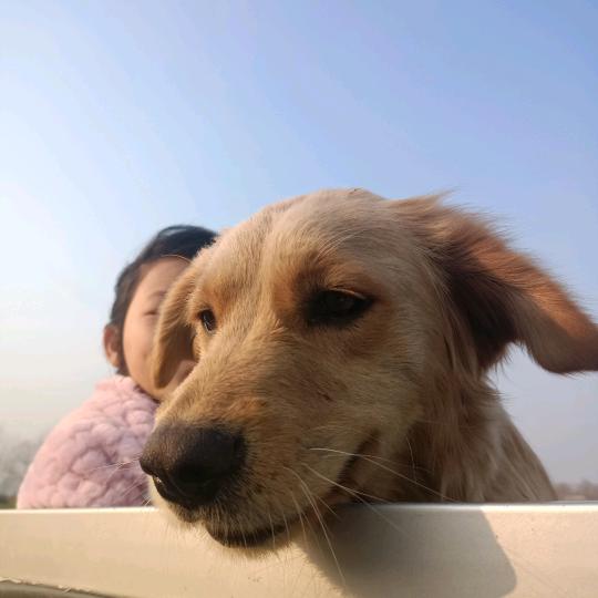 阿战