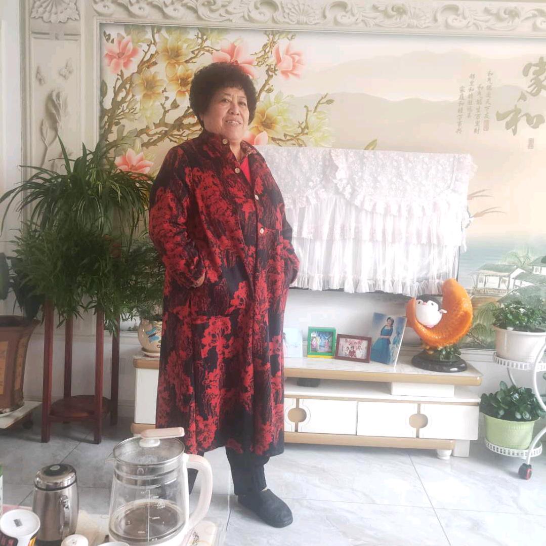 淑凤