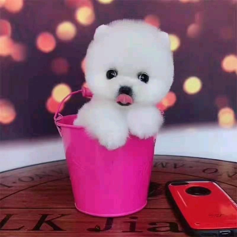 天使