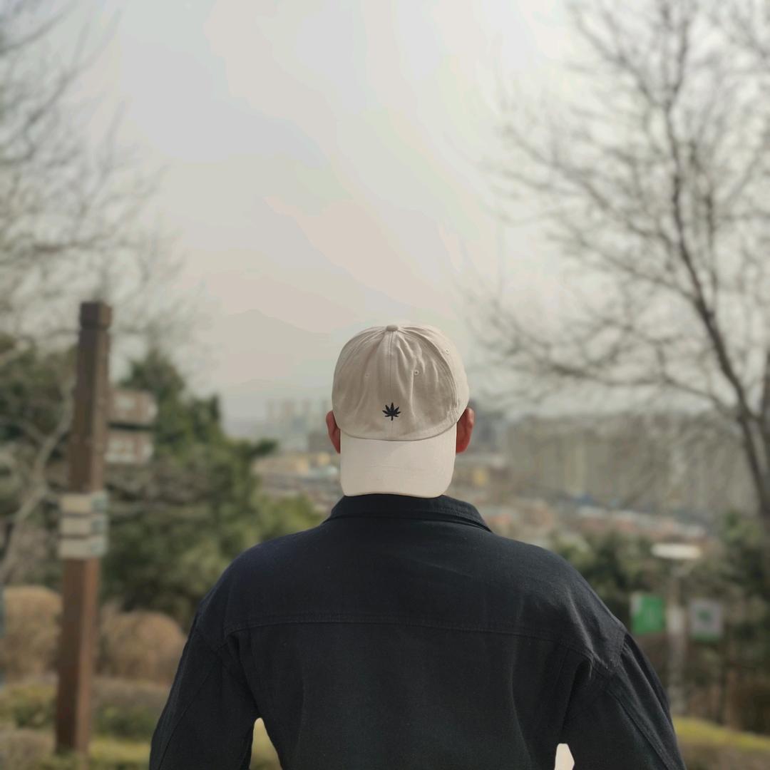 喀什市金瑞-小木