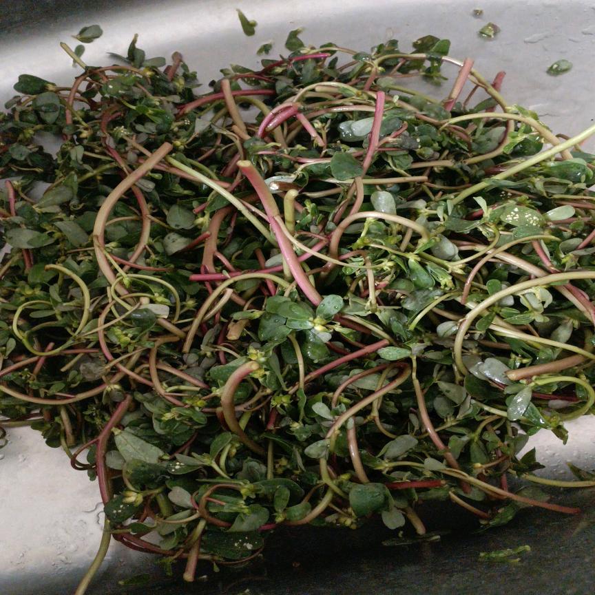 用户:自然风光